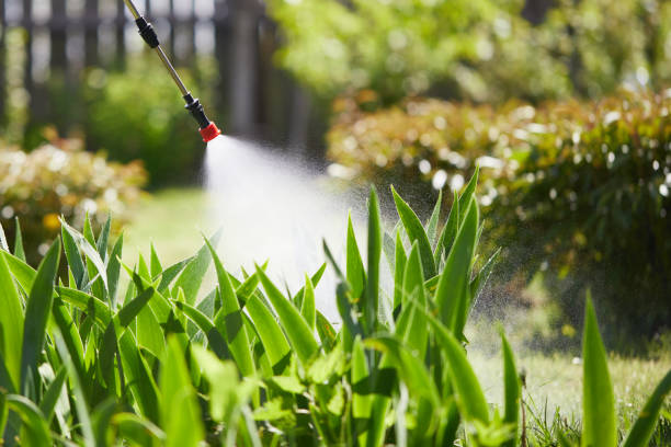 24/7 Emergency Termite Control experts in Ahtanum, WA