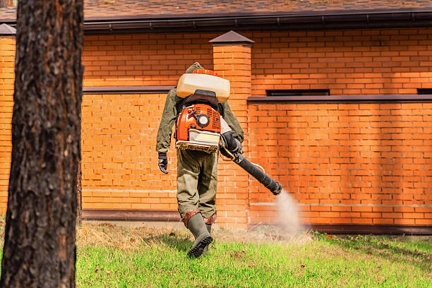 Trusted Rodent Control service in Ahtanum, WA - Nex Pest Control